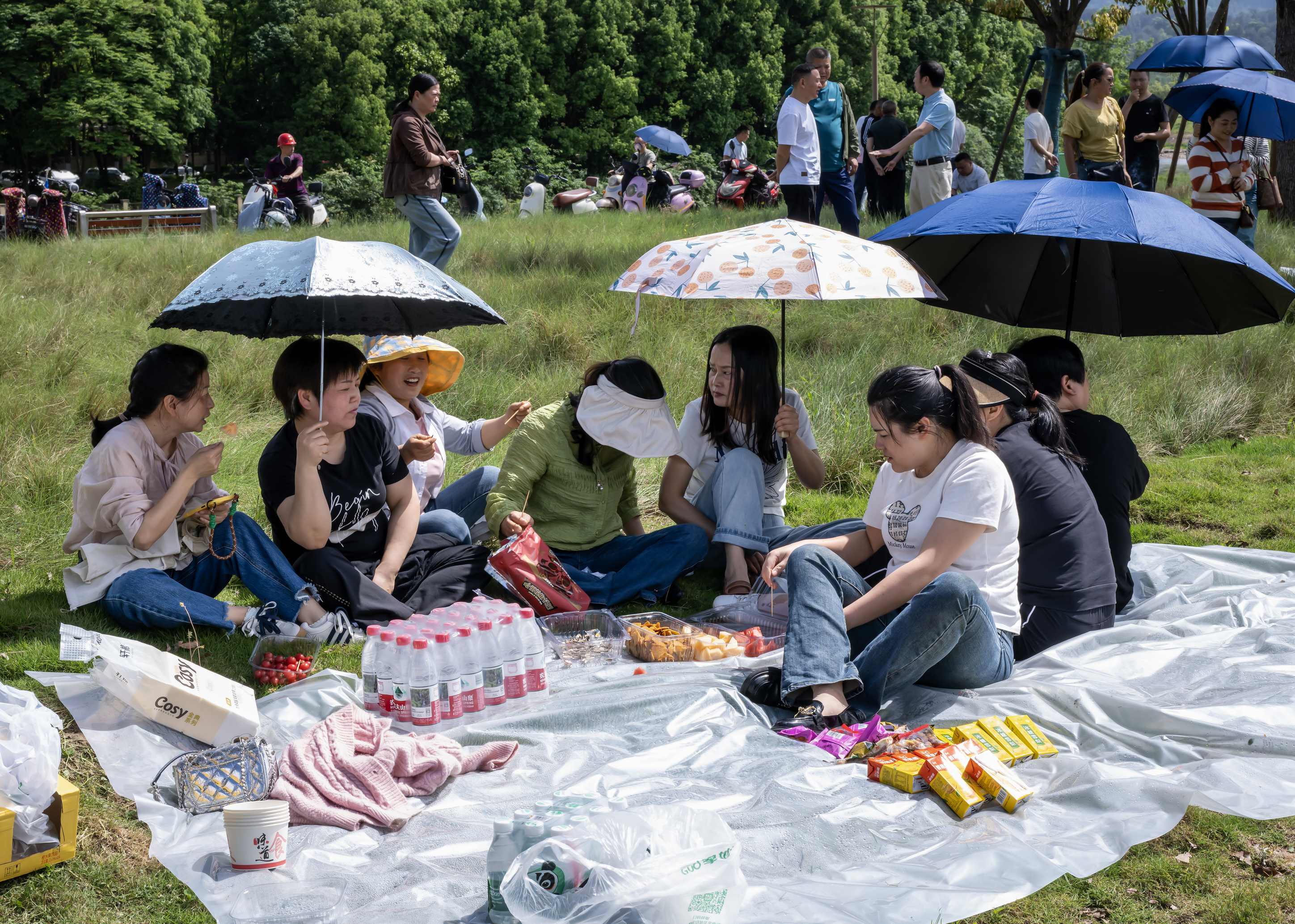 IMG_5232_壓縮.jpg
